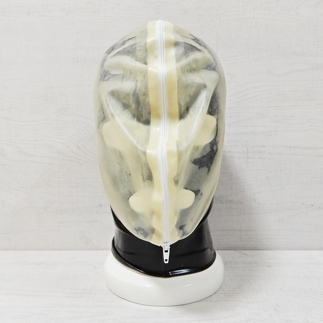 ��Latextil��Face View[Black��Semi-Transparente][M][L]