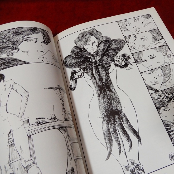 ��VENUS IN FURS��Guido Crepax