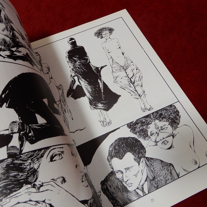 ��VENUS IN FURS��Guido Crepax