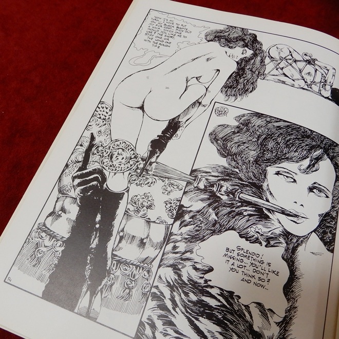 ��VENUS IN FURS��Guido Crepax