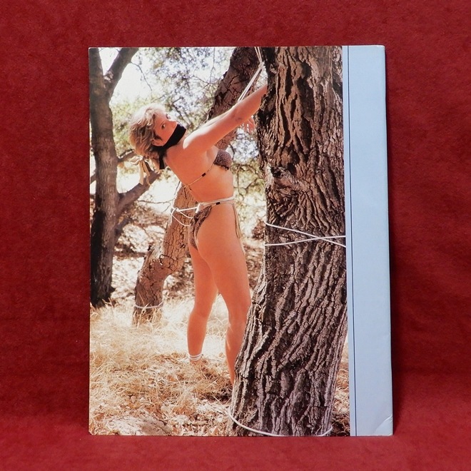 ��THE CUSTOM BONDAGES OF SIMONE DEVON ��3��