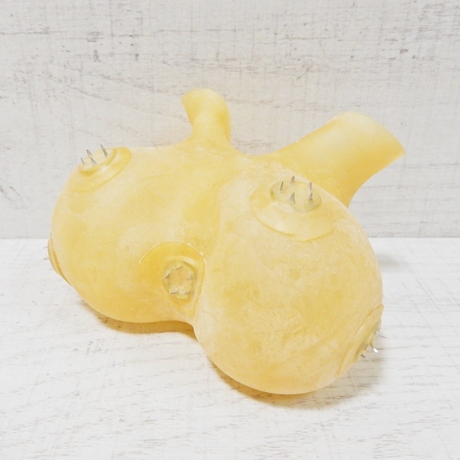Bizarre-Rubber-ShopTesticle Preservative Anatomically, Rolled with Spikes[One Size][Transparent] 0.35ߥ