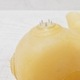 Bizarre-Rubber-ShopTesticle Preservative Anatomically, Rolled with Spikes[One Size][Transparent] 0.35ߥ