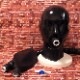 LatexaMask with Zip-Fastener, Latex Tube and Breath Bag[Black][One Size]Ͳ