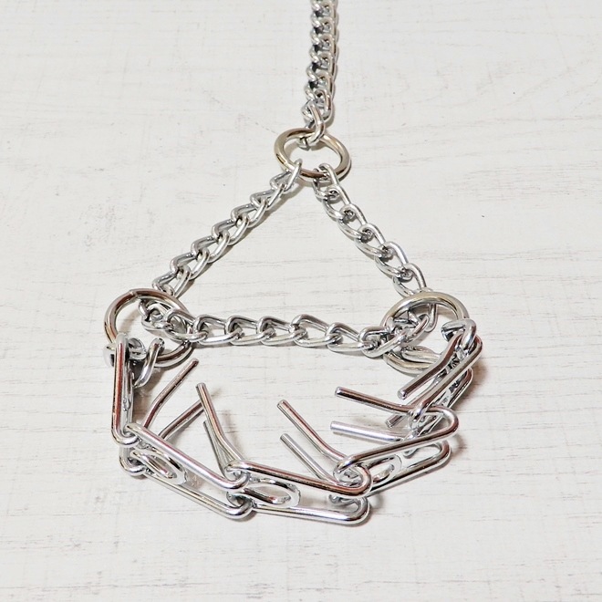 RegulationChoking Penis Leash