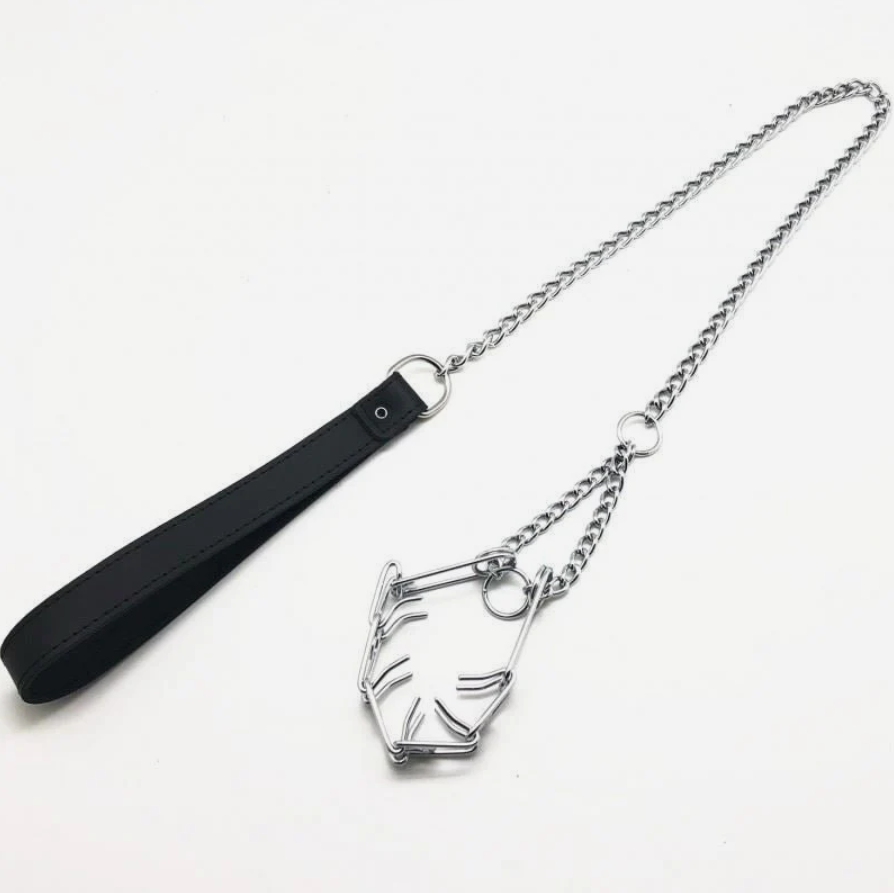 RegulationChoking Penis Leash