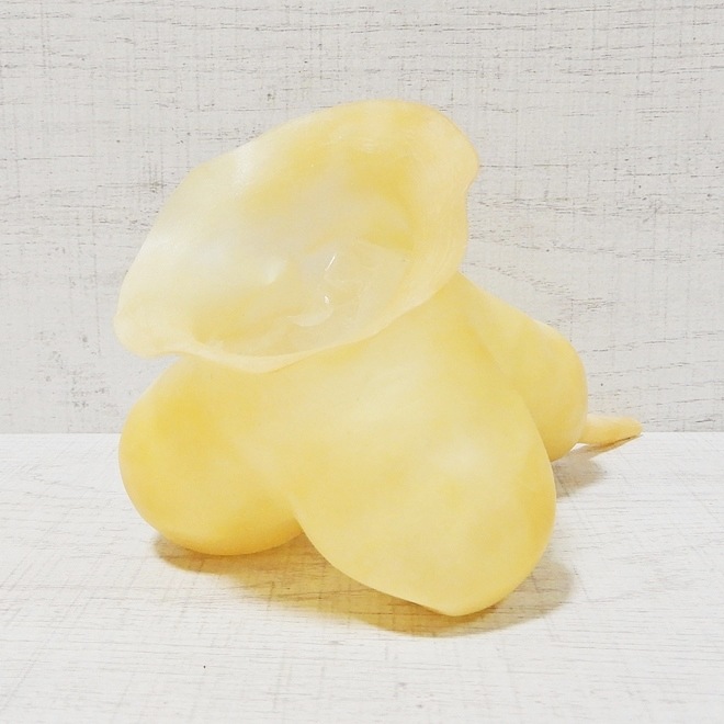 ��Bizarre-Rubber-Shop��Testicle Preservative Anatomical, with NSC[One Size][Transprent]