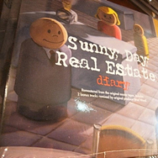 SUNNY DAY REAL ESTATE / Diary  CD