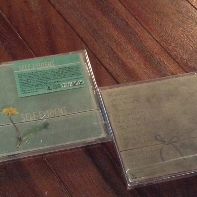 SELF-EVIDENT / We Built A Fortress On Short Notice CD