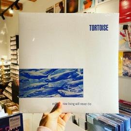 TNT | Tortoise