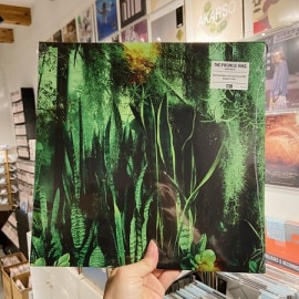 THE PROMISE RING / Wood/Water  2xLP