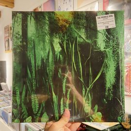 THE PROMISE RING / Wood/Water 2xLP