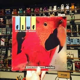 FLUF / Wasting Seed  10