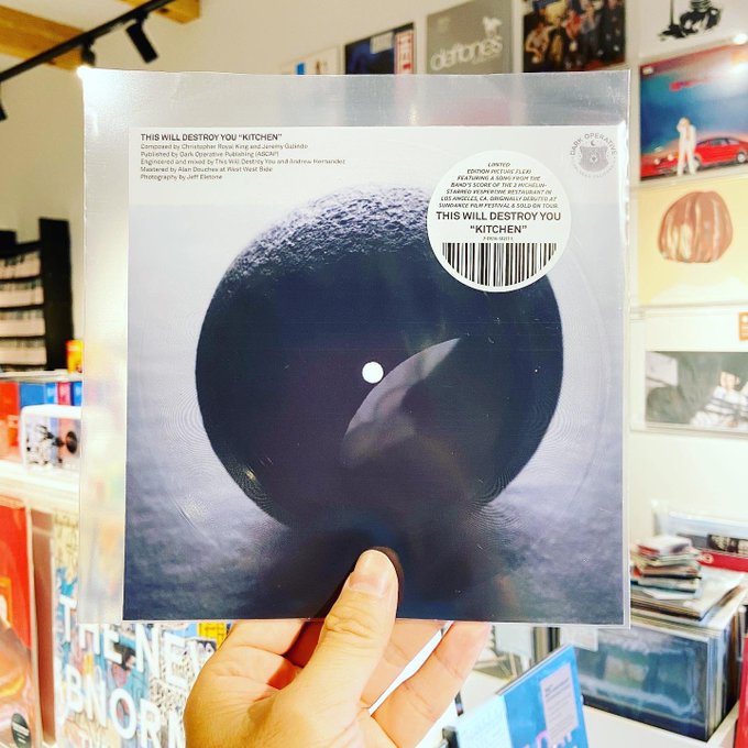 THIS WILL DESTROY YOU / Kitchen  FLEXI