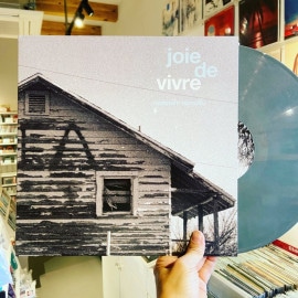 JOIE DE VIVRE / Summer Months LP(SILVER)+MP3