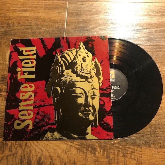 SENSE FIELD / St LP | STIFF SLACK WEBSHOP