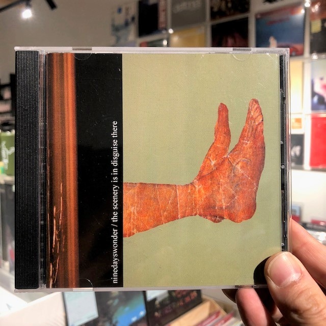 NINE DAYS WONDER / The Scenery Is In Disguise There CD | STIFF