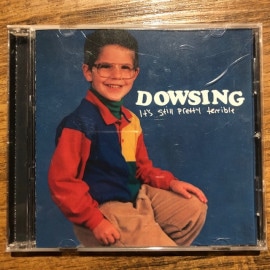 DOWSING / It's Still Pretty Terrible CD