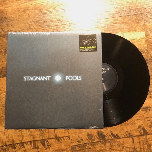 STAGNANT POOLS / Temporary Room LP (USED)