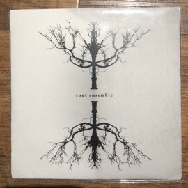 TOUT ENSEMBLE / St CD