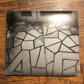 THE SEA AND CAKE / Everybody CD