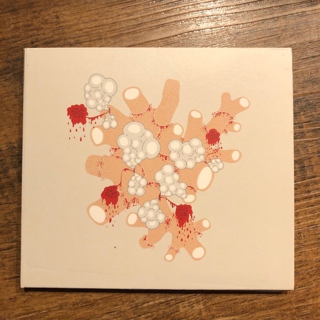 SAXON SHORE / The Exquisite Death Of CD