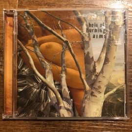 PAPA M / Hole Of Burning Alms CD