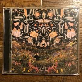 90 DAY MEN / PANDAPARK CD