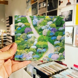 FIDDLEHAED /  Between The Richness  CD