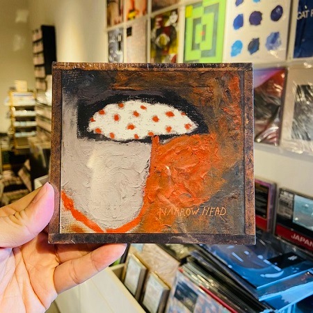 NARROW HEAD / 12th House Rock  CD