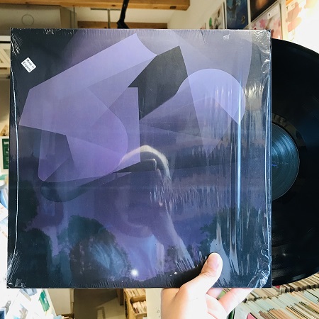 EMERALDS / Just To Feel Anything LP (USED)