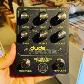 ELECTRONIC AUDIO EXPERIMENTS / Dude Incredible