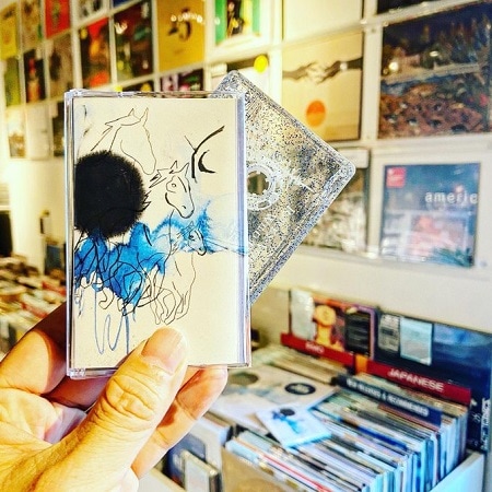 ROCKY VOTOLATO / Wild Roots  CASSETTE