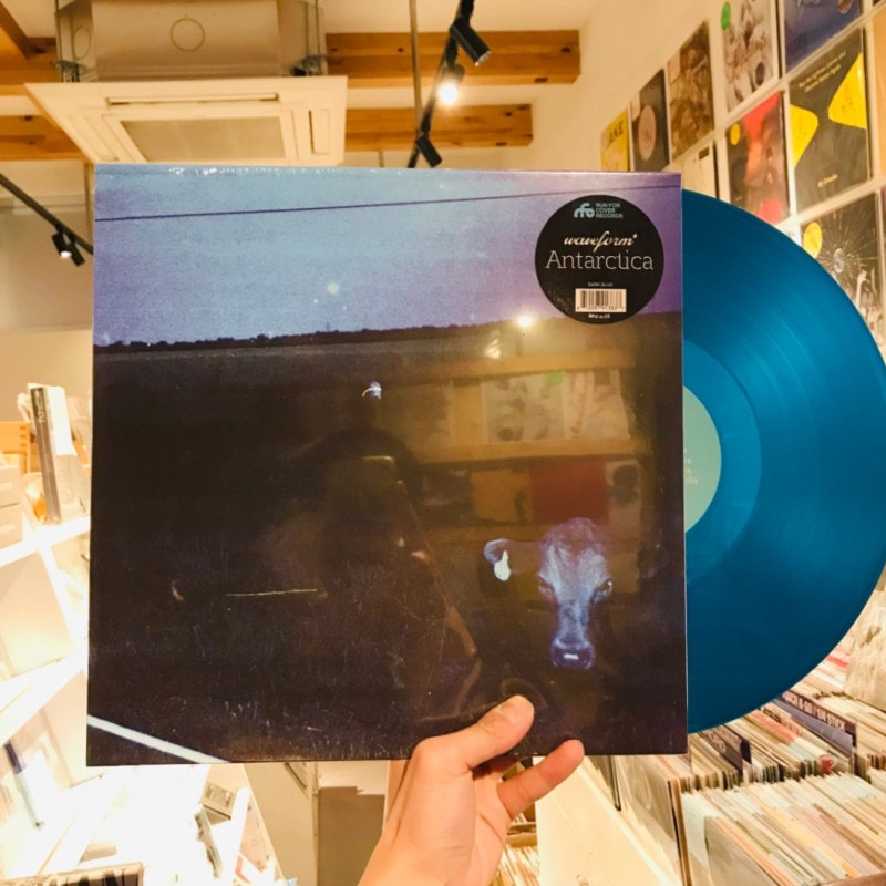 WAVEFORM* / Antarctica LP(BLUE)