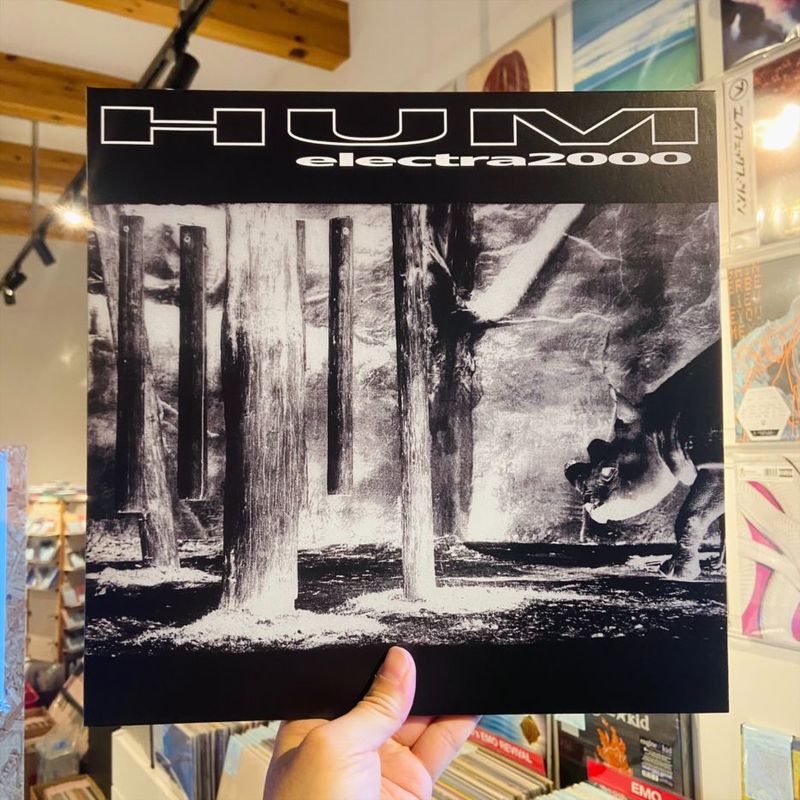 HUM / Electra 2000  2xLP
