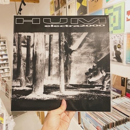 HUM / Electra 2000  2xLP