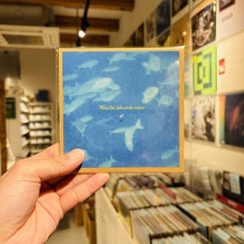 TYTW / Wierd fish fallen to the bottom CD
