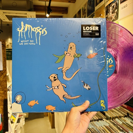 J MASCIS / What Do We Do Now LP(PINK)