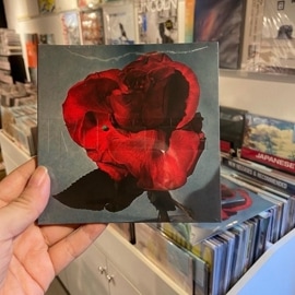 METZ / Up On Gravity Hill  CD