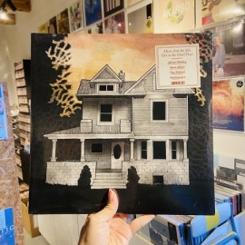 ALISON CHESLEY, STEVE ALBINI, TIM MIDYETT / Music From The Film Girl On The Third FloorLP+MP3