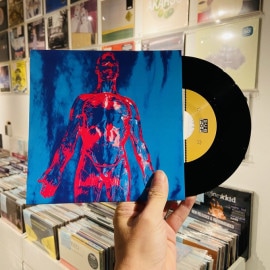 NIRVANA / Sliver/Dive  7