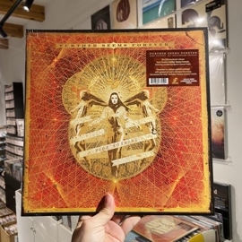 FURTHER SEEMS FOREVER / Hide Nothing  LP(GOLD)