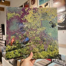 ROB MAZUREK / Nestor's Nest  LP