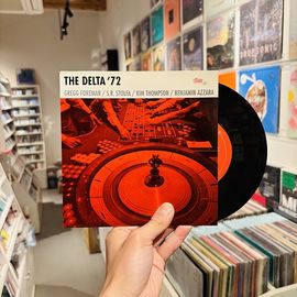 THE DELTA 72 / On The Rocks 7