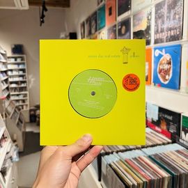 SUNNY DAY REAL ESTATE / Pillars 7