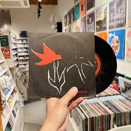 HAELAH / The Birds 7