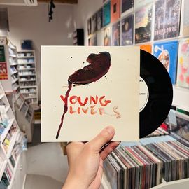 ROCKET FROM THE CRYPT / Young Livers 7