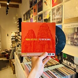 RIDDLE OF STEEL / TRAINDODGE // Split 7