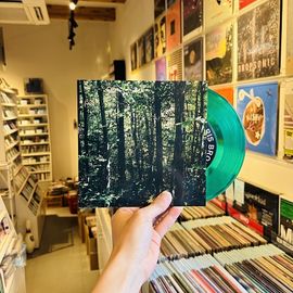 CHRIS BROKAW / Forestry 7