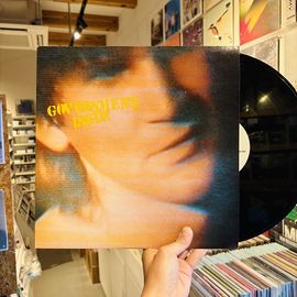 GOVERNMENT ISSUE / The Fun Just Never Ends LP(USED)